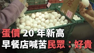 蛋價20年新高！ 早餐店喊苦 民眾：好貴【央廣新聞】 [upl. by Darcia]