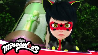 MIRACULOUS  🐞 NEUGESTALTUNG – Der finale Tag Teil 2  Akumatisierung 🐾  STAFFEL 5 FOLGE 26 [upl. by Oiratnom]