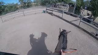 GOPRO SZARA GETTING REACQUAINTED IN THE ARENA NERVOUS RIDER EQUESTRIAN TRAINING PART 2 [upl. by Juliane]