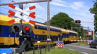 Spoorwegovergang Holten  Dutch railroad crossing [upl. by Leifeste]