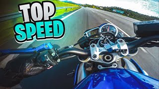 TRIUMPH STREET TRIPLE 675  TOP SPEED O MAIOR DO YOUTUBE [upl. by Icak436]