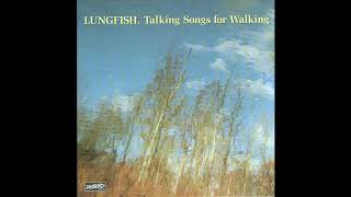 Lungfish  Talking Songs For Walking [upl. by Beata350]