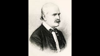 The Semmelweis Effect [upl. by Nnagem]