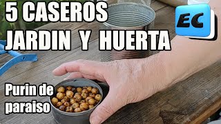 🍅🌿 5 Preparados caseros para jardin y huerta insecticidas nutrientes revitalizadores jardin [upl. by Antone173]