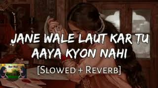 Jane Wale Laut kar tu aaya kyon nahi slowedreverb viralvideo ytshortsvideo music lofimusic [upl. by Dadivitan428]