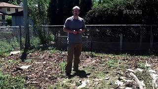 Planting Tomatoes Garden in a Bucket and Cardbaord mulch The Wisconsin Vegetable Gardener [upl. by Layney852]