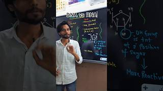 DNA vs RNA shorts biology dna rna DNAvsRNA science k2institute [upl. by Atikin]