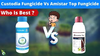 CUSTODIA FUNGICIDE VS AMISTAR TOP FUNGICIDEредAZOXYSTROBIN TEBUCONAZOLE DIFENCONAZOL ред KHETIKI GYAN [upl. by Lantz]