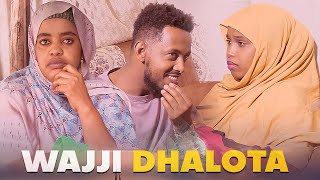 Faya Jiru  Wajji Dhalota  New movie Afaan Oromo  2024 [upl. by Anaik]