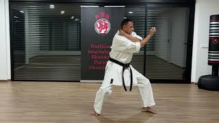 The Official Tiska Karate  2 Heian Nidan Detailed Tips [upl. by Pol156]