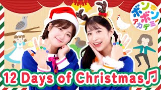 ♬12 Days Of Christmas【英語の歌・ボンボンアカデミー】On the first day of Christmas〜♬【Christmas Song  Xmas Song】 [upl. by Asserac]