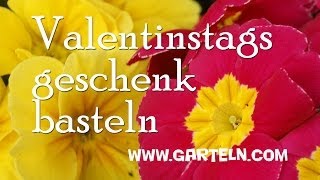 Valentinstagsgeschenk basteln [upl. by Bernardi826]