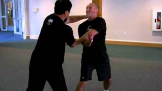 Fighting Arts  Yin Style Bagua  Whipping Strikes [upl. by Marceau]