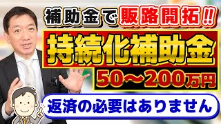 【いざ挑戦 50200万円 持続化補助金】第15回 高採択率 補助金で販路開拓 対象外の経費例 ウェブサイト関連費 実際の取組み事例 採択計画書の例 など〈24年2月時点〉 [upl. by Anay]