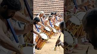 PANCHARI MELAM UNNIKRISHNAN MARAR shortvideo shortfeed pancharimelam [upl. by Nirrac715]