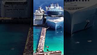 Warning Cruise Ship Size Debate Exposed [upl. by Hilario437]