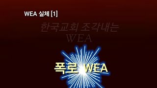 한국교회 조각내는 WEA  WEA 실체 1 [upl. by Aric335]