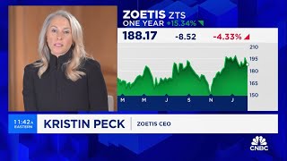 Zoetis CEO Kristin Peck on CNBCs Money Movers Q4 and FY 2023 Financial Results [upl. by Laetitia]