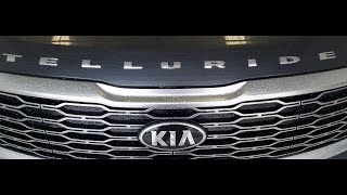 2020 Kia Telluride EX First Look [upl. by Towroy42]