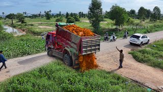 Full Project Complete 100 Flooded area  Bulldozer Push Soil  5Ton Truck Unloading Soil Landfill [upl. by Azne973]