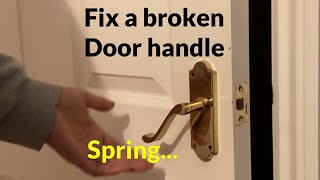 How to fix a Loose Door Handle  Replace broken spring [upl. by Okiram]