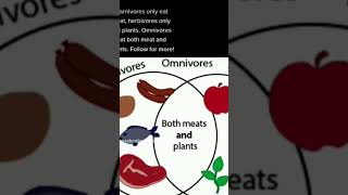 Sciences herbivores  carnivores and omnivores [upl. by Hinkel]