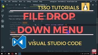 How to Hide file drop down menu in Visual Studio Code [upl. by Oman]