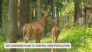 Michigans DNR explains why more communities are looking to control deer populations [upl. by Malka422]