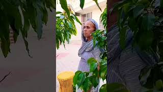 sarson ki kheti ke bad ka processminivlog dailyvlog desi shortvideo [upl. by Alisen]