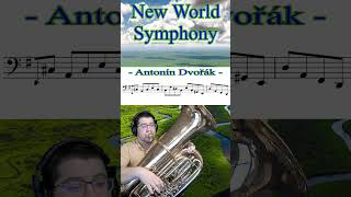 Beethoven‘s 6th Symphony Horn Solo [upl. by Htaek]