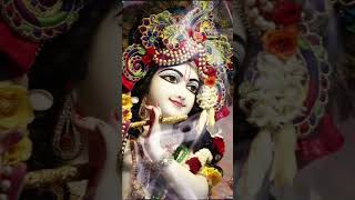 जब प्रभु आपके साथ है राधेकृष्ण Premanandji vaanikrishna new status krishna vani ytshorts Viral [upl. by Acinelav]