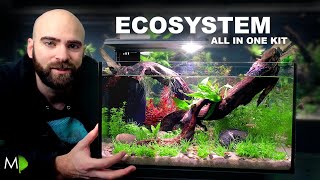 Ecosystem Aquarium In A Nano Kit Tank [upl. by Meedan]