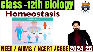 Homeostasis processs  what is homeostasis  Homeostasis class 12 Biology  NEET [upl. by Akemaj251]