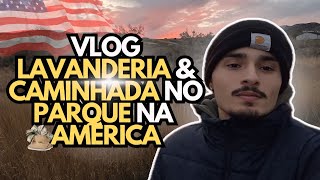 É CARO PARA LAVAR ROUPAS NO ESTADOS UNIDOS ENCONTRAMOS UM ANIMAL ESTRANHO [upl. by Thunell]