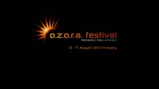 Techno Shock  Suntree from Ozora 2011 official video [upl. by Haase]