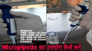 How to use Micropipette 200µl [upl. by Nodnyl]