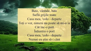 TEXT Bate vântule  Satoshi ft Irina Rimes Lyrics satoshicahul [upl. by Eelaras]