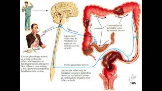 Constipation and the Colon  Mayo Clinic [upl. by Celeski672]