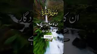 sorah al baqra ka urdu tarjuma  quran ke tilawat trending islam islamic quran quranrecitation [upl. by Yantruoc22]