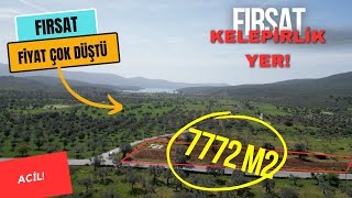 ACİL FİYAT ÇOK DÜŞTÜ YATIRIMLIK 7772 M2 ARSA FIRSATI [upl. by Eimak482]