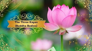 Understanding the Three Kayas The Buddha Bodies in Buddhism [upl. by Dnama]