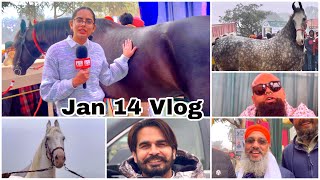 Muktsar Horse Fair 2024 Jan 14 Vlog  Manu Sekhon Interview amp Mela Tour [upl. by Kahl743]