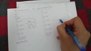 Conversion  Aldohexose To Aldopentose [upl. by Margareta]