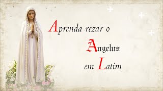 APRENDA REZAR O ANGELUS EM LATIM  Rezar em Latim [upl. by Edwards14]