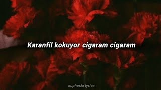 Manuş Baba  Haberin Var Mı Sözleri Lyrics [upl. by Cohbath909]