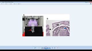 histochemistry 3 preparation of tissue sectioning and CHO histochemistry part 1 [upl. by Flan]