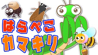 【フルver】はらぺこカマキリ おかあさんといっしょ月歌 香川照之の昆虫すごいぜ！NHK Eテレ【2019年6月】 [upl. by Betthel]