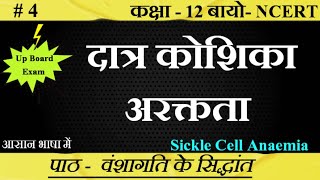 दात्र कोशिका अरक्तता।। Sickle Cell Anaemia।। biology ncert class12 SudheerSirJi [upl. by Saxena]