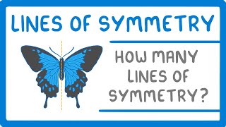 GCSE Maths  Lines of Symmetry 98 [upl. by Hew903]