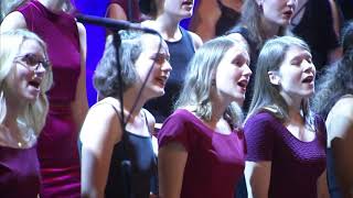 Stitches Shawn Mendes  PsychoChor der Uni Jena [upl. by Otnicaj]